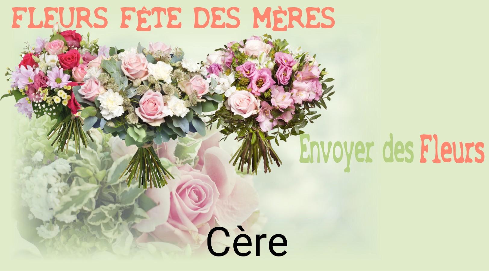 Bouquet de Fête des Mères livré à Cère